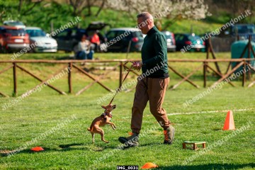 IMG_0031.jpg