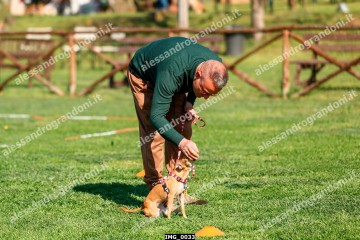 IMG_0033.jpg