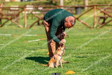 IMG_0035.jpg