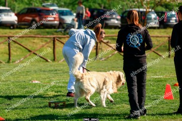 IMG_0042.jpg