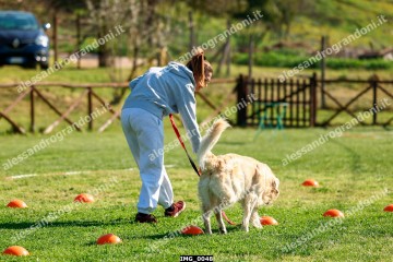 IMG_0048.jpg