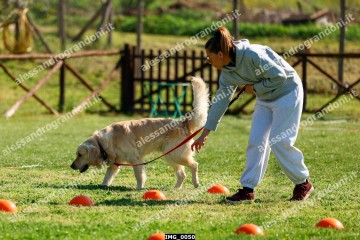 IMG_0050.jpg