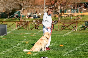 IMG_0055.jpg