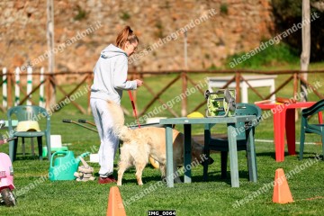 IMG_0064.jpg