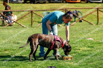 IMG_0067.jpg