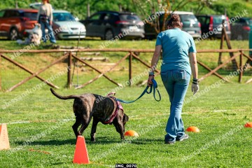 IMG_0070.jpg