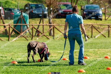 IMG_0072.jpg