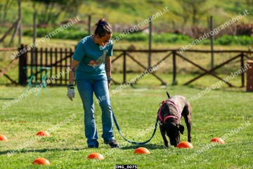 IMG_0075.jpg