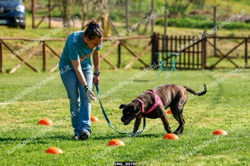IMG_0078.jpg