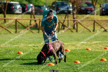 IMG_0079.jpg