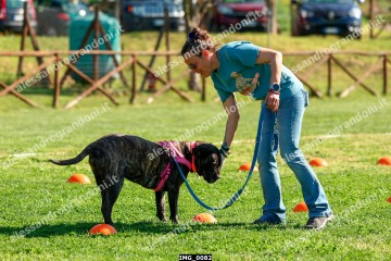 IMG_0082.jpg