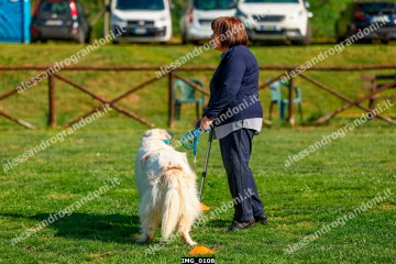 IMG_0108.jpg