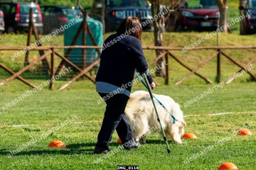 IMG_0118.jpg