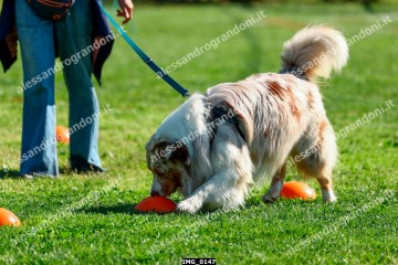 IMG_0147.jpg