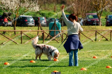IMG_0151.jpg