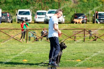 IMG_0167.jpg