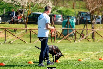 IMG_0169.jpg