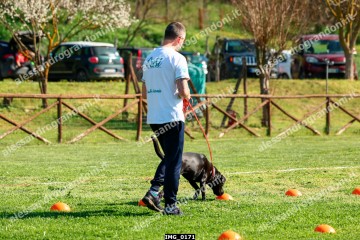 IMG_0171.jpg