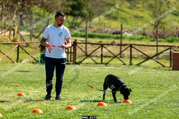 IMG_0173.jpg