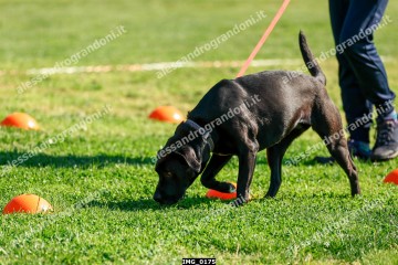 IMG_0175.jpg