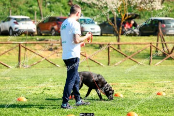 IMG_0180.jpg