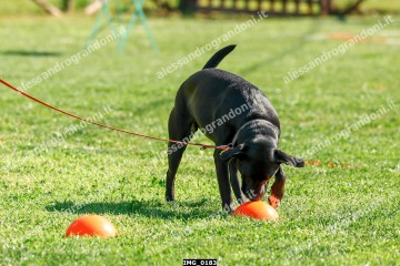 IMG_0183.jpg