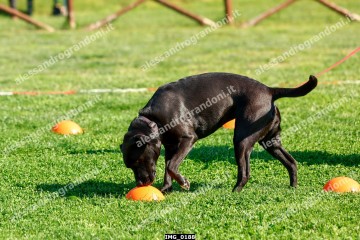 IMG_0188.jpg