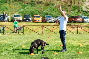 IMG_0191.jpg