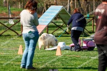 IMG_0200.jpg