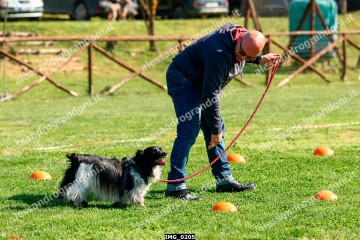 IMG_0205.jpg