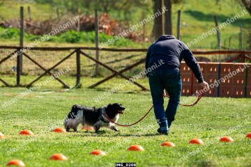 IMG_0208.jpg