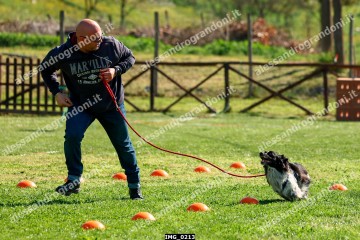 IMG_0213.jpg