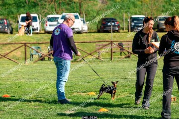 IMG_0226.jpg