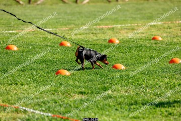 IMG_0228.jpg