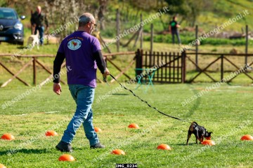 IMG_0234.jpg