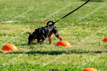 IMG_0237.jpg