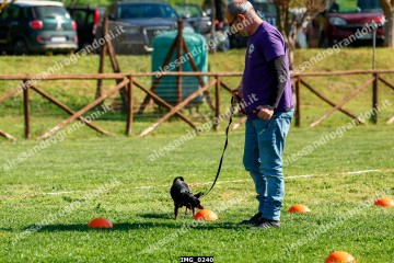 IMG_0240.jpg