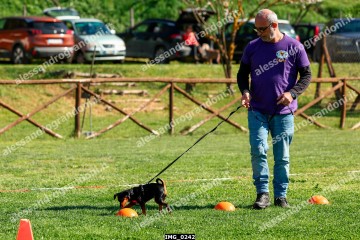 IMG_0242.jpg