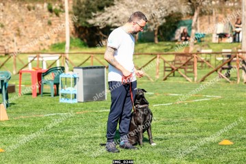 IMG_0248.jpg