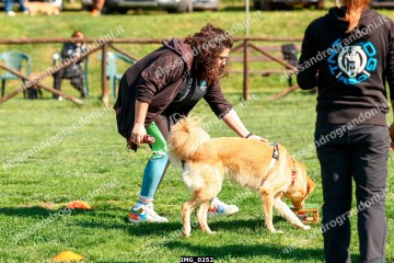 IMG_0252.jpg