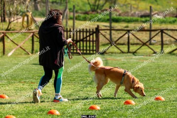 IMG_0262.jpg