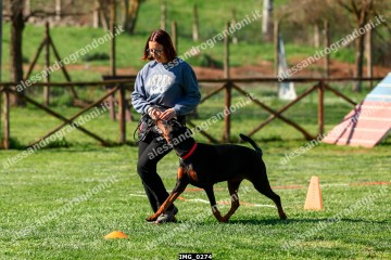 IMG_0274.jpg