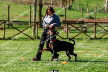 IMG_0280.jpg