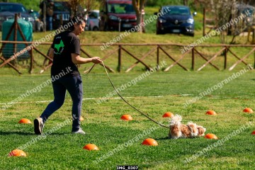 IMG_0307.jpg