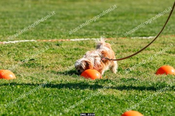 IMG_0310.jpg