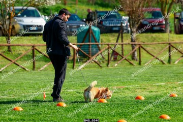 IMG_0340.jpg