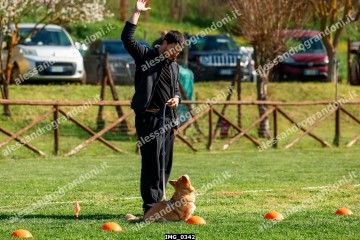 IMG_0342.jpg