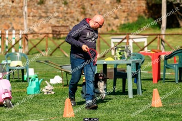 IMG_0362.jpg