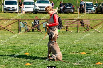 IMG_0377.jpg