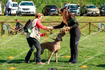 IMG_0387.jpg